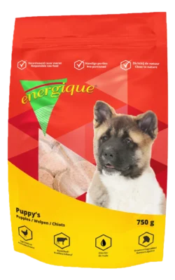 Energique Pup