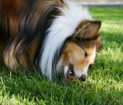 Kivo Rund compleet - Afbeelding 2