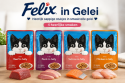 Felix in Gelei